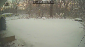 Caméra IP - Vereinigte Staaten von Amerika