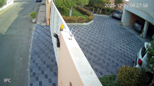 Caméra IP - Arabia Saudita