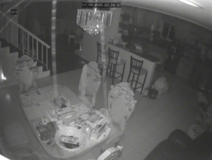 Caméra IP - United States of America