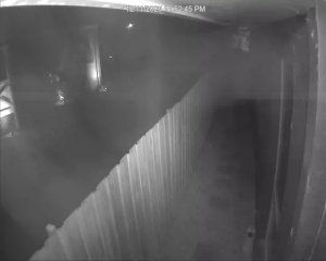 Caméra IP - Australia