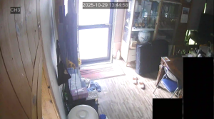 Caméra IP - South Korea