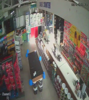 Caméra IP - South Africa