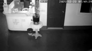 Caméra IP - Thailand