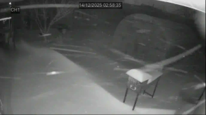 Caméra IP - Vue en direct