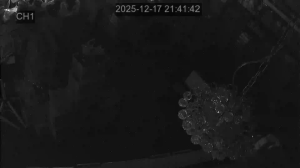 Caméra IP - South Korea