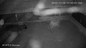 Caméra IP - Finlandia