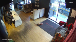 Caméra IP - Frankreich