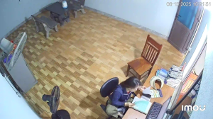 Caméra IP - Vietnam
