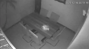 Caméra IP - Islamic Republic of Iran