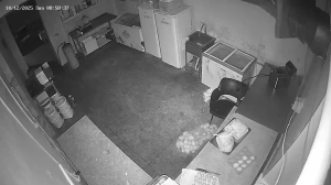 Caméra IP - Vue en direct