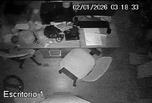 Caméra IP - Brésil