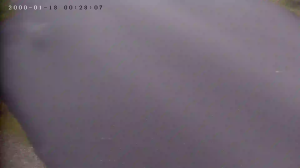 Caméra IP - Dinamarca