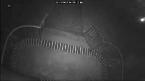 Caméra IP - United States of America