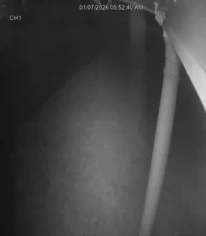 Caméra IP - United States of America