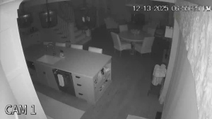 Caméra IP - États-Unis d'Amérique