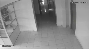 Caméra IP - Saudi Arabia