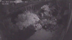 Caméra IP - República Checa