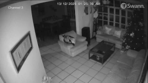 Caméra IP - El Salvador