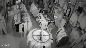 Caméra IP - Équateur