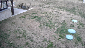 Caméra IP - États-Unis d'Amérique