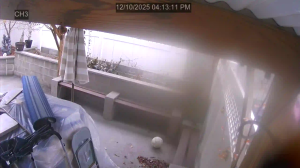 Caméra IP - United States of America