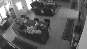 Caméra IP - United States of America