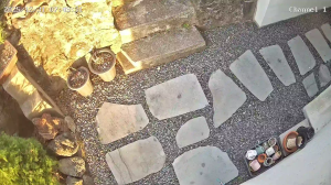 Caméra IP - South Korea