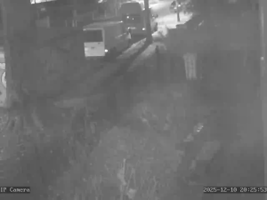 Caméra IP - Germany