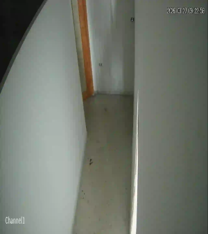 Caméra IP - Tunisia