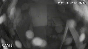 Caméra IP - Hungary