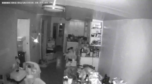 Caméra IP - United States of America