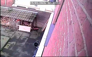 Caméra IP - Netherlands