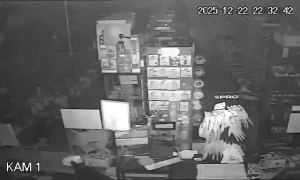 Caméra IP - Polonia