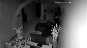 Caméra IP - Corea del Sud