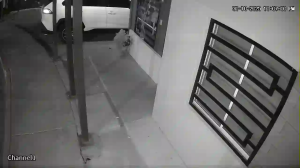 Caméra IP - Mexique