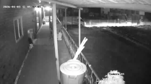 Caméra IP - Corée du Sud