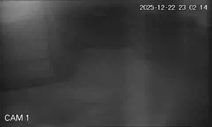 Caméra IP - Vietnam