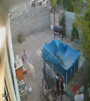 Caméra IP - Argentina