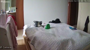 Caméra IP - Espagne