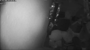 Caméra IP - Stati Uniti d'America