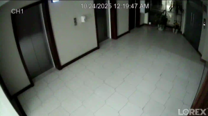 Caméra IP - Panamá