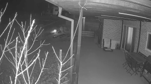 Caméra IP - South Korea