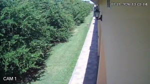 Caméra IP - Argentinien