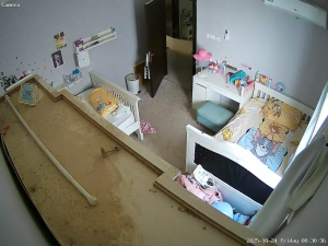 Caméra IP - Saudi Arabia