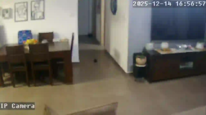 Caméra IP - Israël