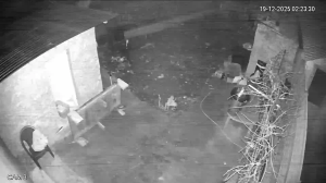 Caméra IP - Romania