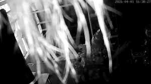 Caméra IP - Colombie