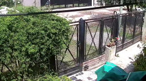 Caméra IP - Argentina