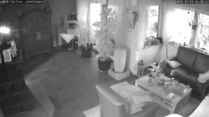 Caméra IP - Germany