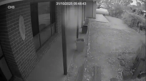 Caméra IP - Australien